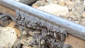 W Smarownica 180830-135046.jpg