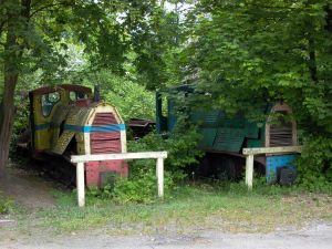 WLs40-137 2009.05.19 Trzeciewnica zdjęcie 5.JPG