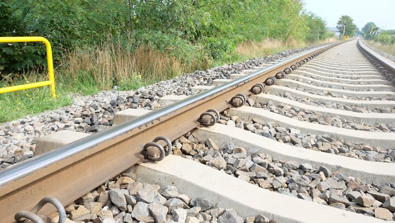 Plik:W Smarownica 180830-135502.jpg