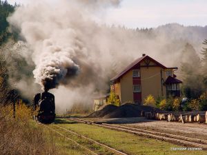 Kp4-3772 Dolzyca 131019.JPG