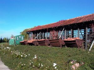 WLs40-367 2010.10.05 Nadbrzeże zdjęcie 06.JPG