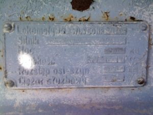 WLs50-2019 2012.03.05 Skrzeszew zdjęcie 13.JPG