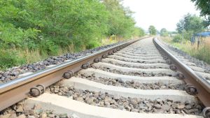 W Smarownica 180830-135528.jpg