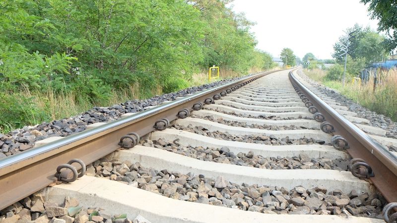 Plik:W Smarownica 180830-135528.jpg