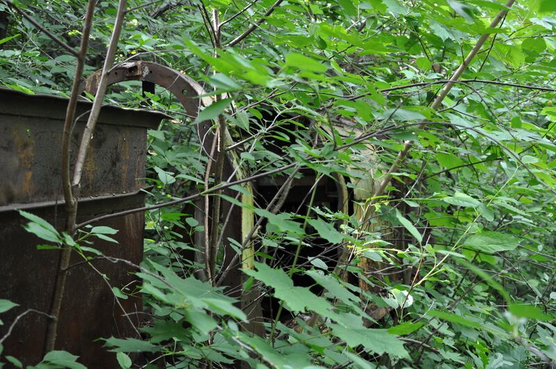 Plik:WLs40-773 2011.06.25 Trzeciewnica.jpg