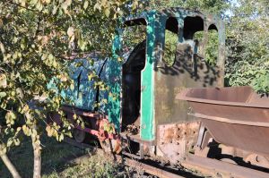 WLs50-1895 2011.10.16 Krotoszyn zdjęcie 08.jpg