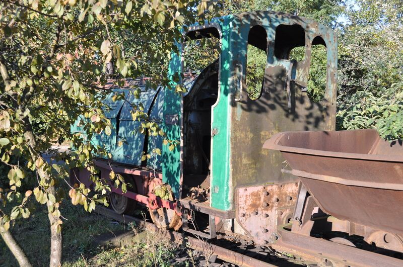 Plik:WLs50-1895 2011.10.16 Krotoszyn zdjęcie 08.jpg