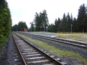 18 VI 2011 Jakuszyce.JPG