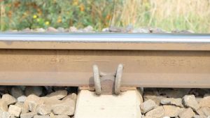 W Smarownica 180830-135604.jpg