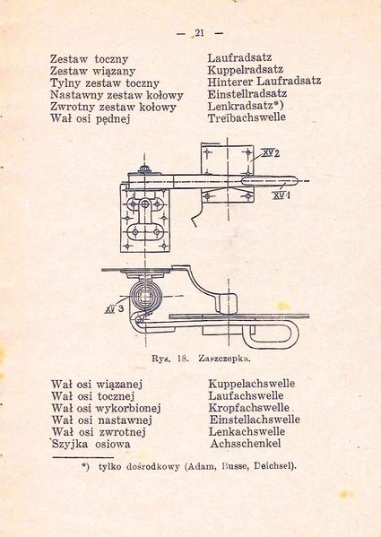 Plik:Slow par 1924 21.jpg