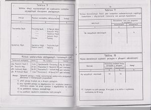 1966 SRJP Opalenicka KD 08.jpeg