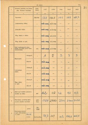 Paszport Nasielsk 34.jpg