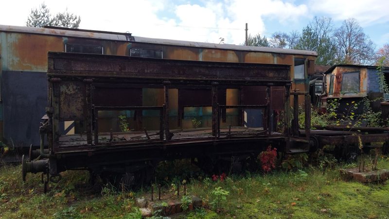 Plik:Wh szprychowaRudy.jpg