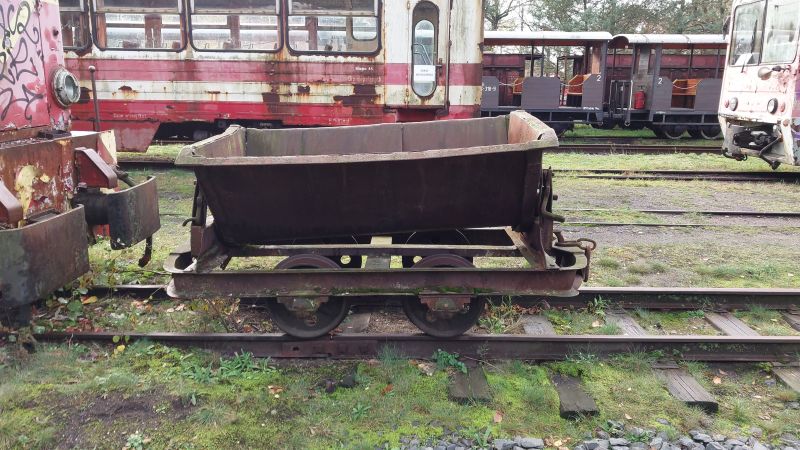 Plik:Koleba rudy.jpg