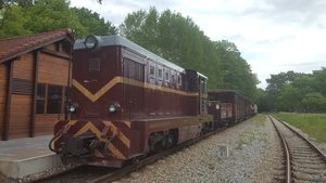 Lxd2-478 Pogorzelica.jpeg