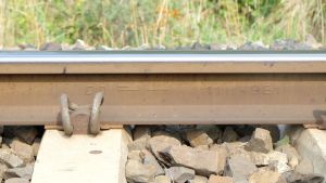 W Smarownica 180830-135550.jpg