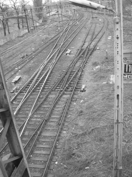 Plik:Anglik podwojny a.jpg