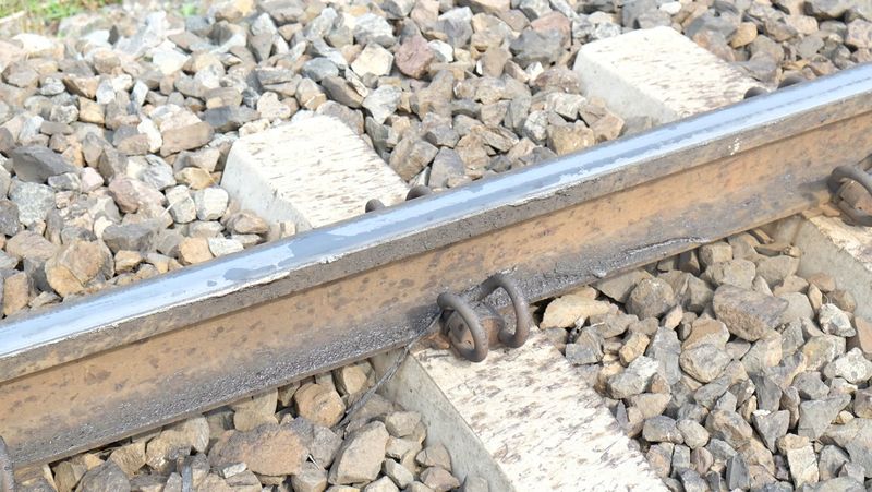 Plik:W Smarownica 180830-135116.jpg