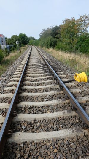 W Smarownica 180830-135030.jpg