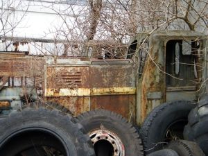 WLs40 1159 (3).JPG