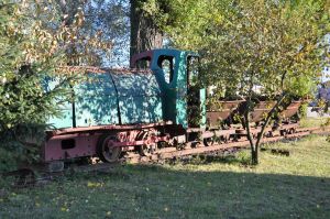 WLs50-1895 2011.10.16 Krotoszyn zdjęcie 03.jpg