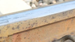 W Smarownica 180830-135144.jpg