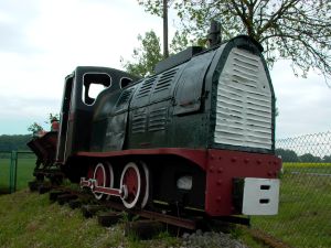 WLs50-1992 2009.05.20 Grądy zdjęcie 4.JPG