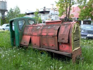 WLs40-286 2009.05.19 Trzeciewnica zdjęcie 2.JPG