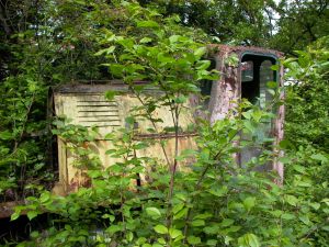 WLs40-773 2009.05.19 Trzeciewnica zdjęcie 1.JPG