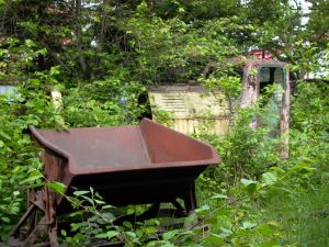 WLs40-773 2009.05.19 Trzeciewnica zdjęcie 3.JPG