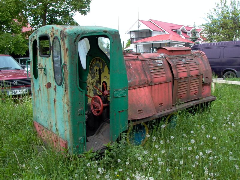 Plik:WLs40-286 2009.05.19 Trzeciewnica zdjęcie 3.JPG