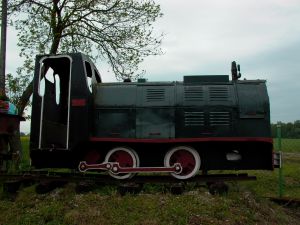 WLs50-1992 2009.05.20 Grądy zdjęcie 3.JPG