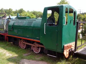 WLs40-372 2010.06.27 Pionki zdjęcie 3.JPG