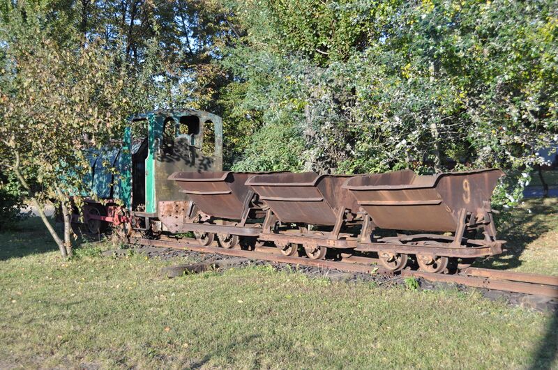 Plik:WLs50-1895 2011.10.16 Krotoszyn zdjęcie 05.jpg