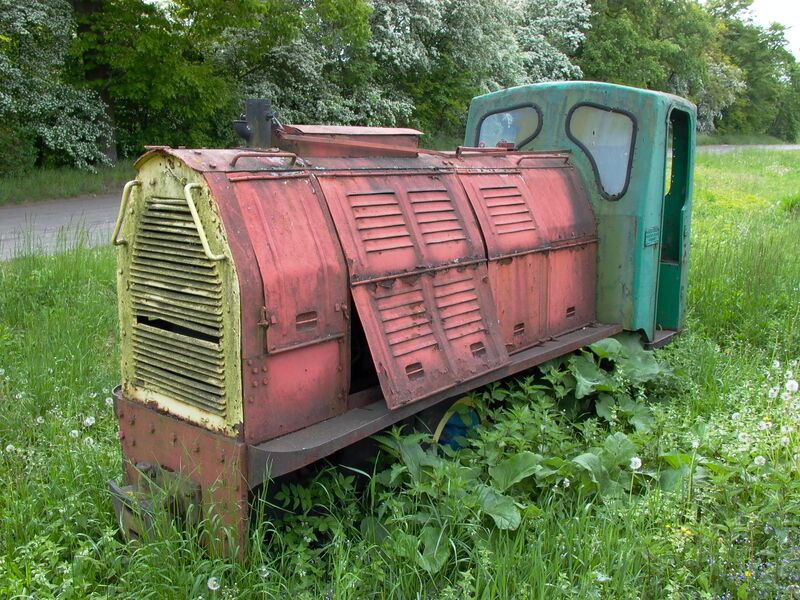 Plik:WLs40-286 2009.05.19 Trzeciewnica zdjęcie 1.JPG