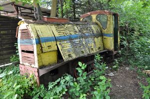 WLs40-137 2011.06.25 Trzeciewnica zdjęcie 1.jpg