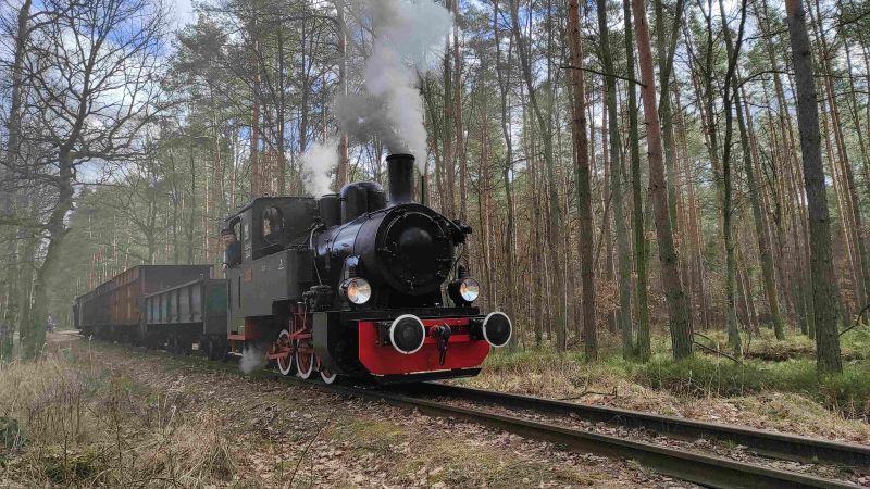 Plik:Las49-3343 Rudy.jpeg