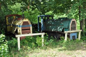 WLs40-137 2011.06.25 Trzeciewnica zdjęcie 2.jpg