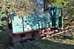 WLs50-1895 2011.10.16 Krotoszyn zdjęcie 06.jpg