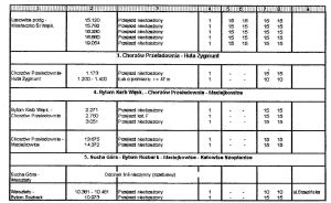 Wosgkw96-6.jpg