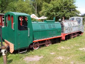 WLs40-372 2010.06.27 Pionki zdjęcie 2.JPG