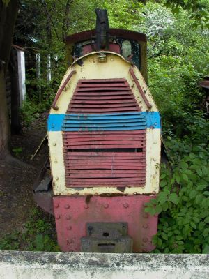WLs40-137 2009.05.19 Trzeciewnica zdjęcie 3.JPG