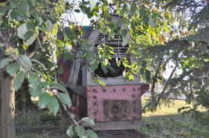 WLs50-1895 2011.10.16 Krotoszyn zdjęcie 09.jpg