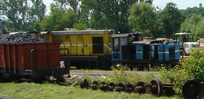 Plik:Ecaterina DSC03930 cr.jpg