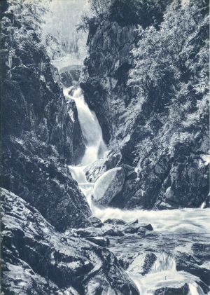 Kol Elektr KG-Zp 44A Z.jpg