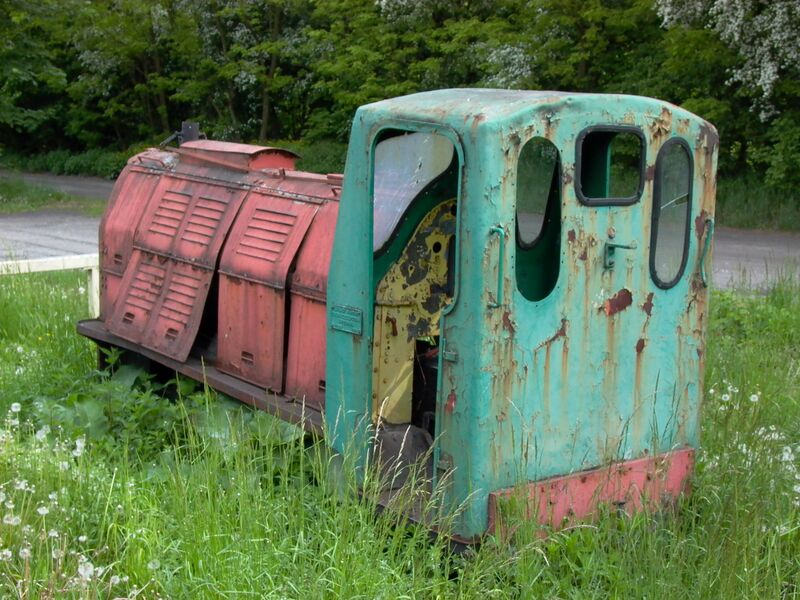 Plik:WLs40-286 2009.05.19 Trzeciewnica zdjęcie 4.JPG