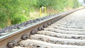 W Smarownica 180830-135534.jpg