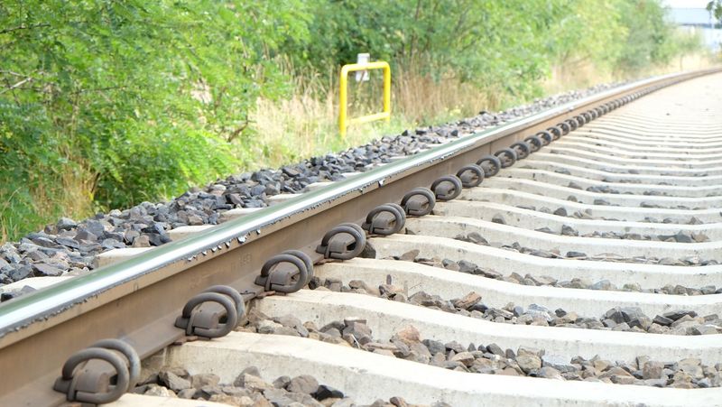 Plik:W Smarownica 180830-135534.jpg