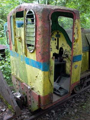 WLs40-137 2009.05.19 Trzeciewnica zdjęcie 4.JPG